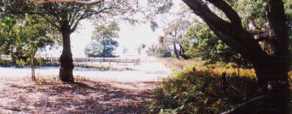 Do the gospels contain a critique of Greek philosophy?