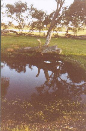 Do the gospels contain a critique of Greek philosophy?