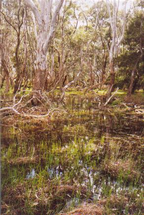 Do the gospels contain a critique of Greek philosophy?