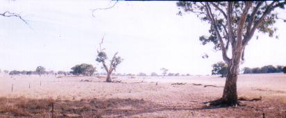 Do the gospels contain a critique of Greek philosophy?