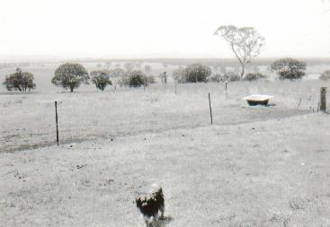 Do the gospels contain a critique of Greek philosophy?