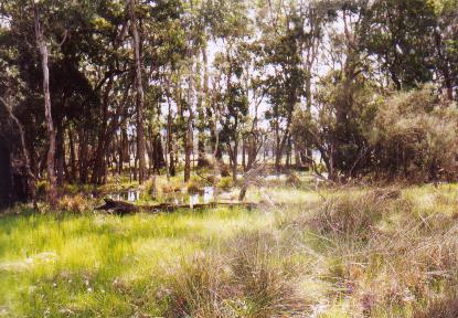 Do the gospels contain a critique of Greek philosophy?