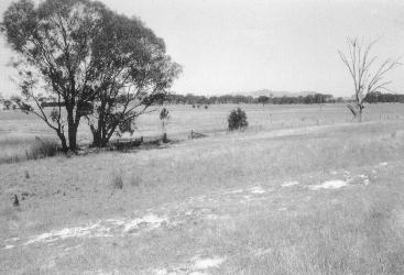 Do the gospels contain a critique of Greek philosophy?