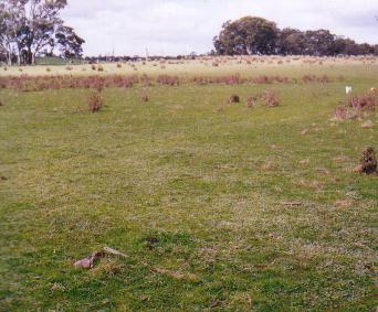 Do the gospels contain a critique of Greek philosophy?