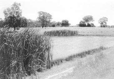 Do the gospels contain a critique of Greek philosophy?