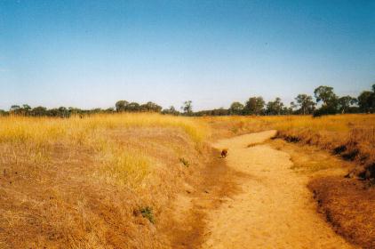 Do the gospels contain a critique of Greek philosophy?