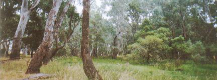 Do the gospels contain a critique of Greek philosophy?