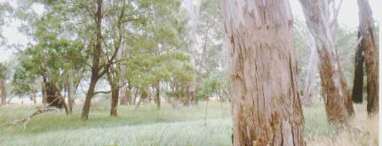 Do the gospels contain a critique of Greek philosophy?