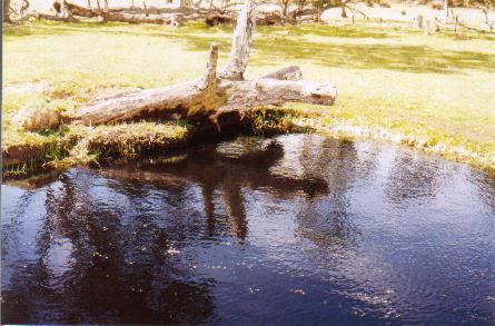 Do the gospels contain a critique of Greek philosophy?