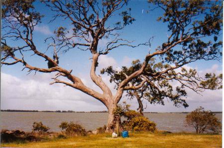 Do the gospels contain a critique of Greek philosophy?