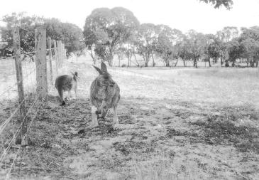 Do the gospels contain a critique of Greek philosophy?