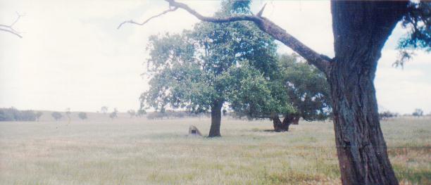 Do the gospels contain a critique of Greek philosophy?